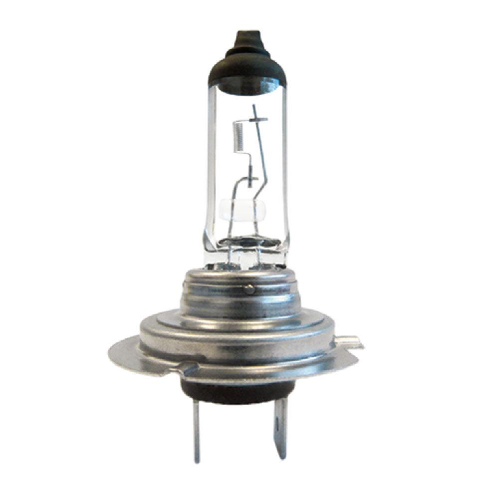 Bulbs | 12 Volts – 55 Watts HALOGEN PX26D-4.58 Amps #H7 55 Watts Bulb