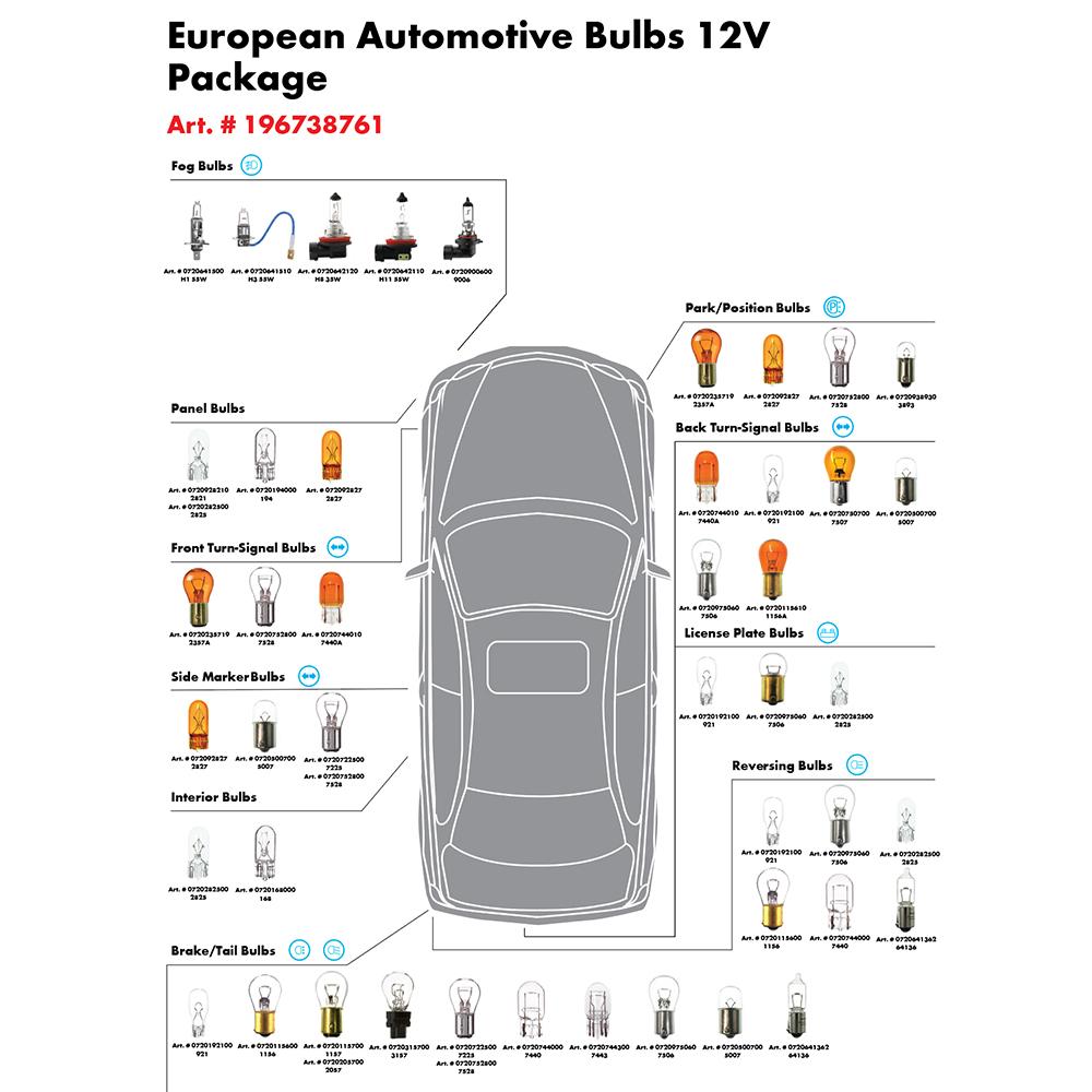 Bulbs | EUROPEAN BULBS NO BIN